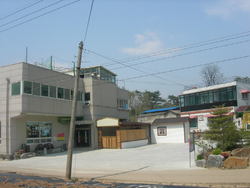 바닷가 숲속