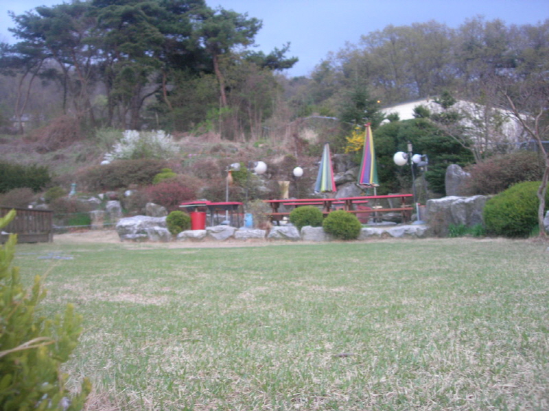 팜펜션
