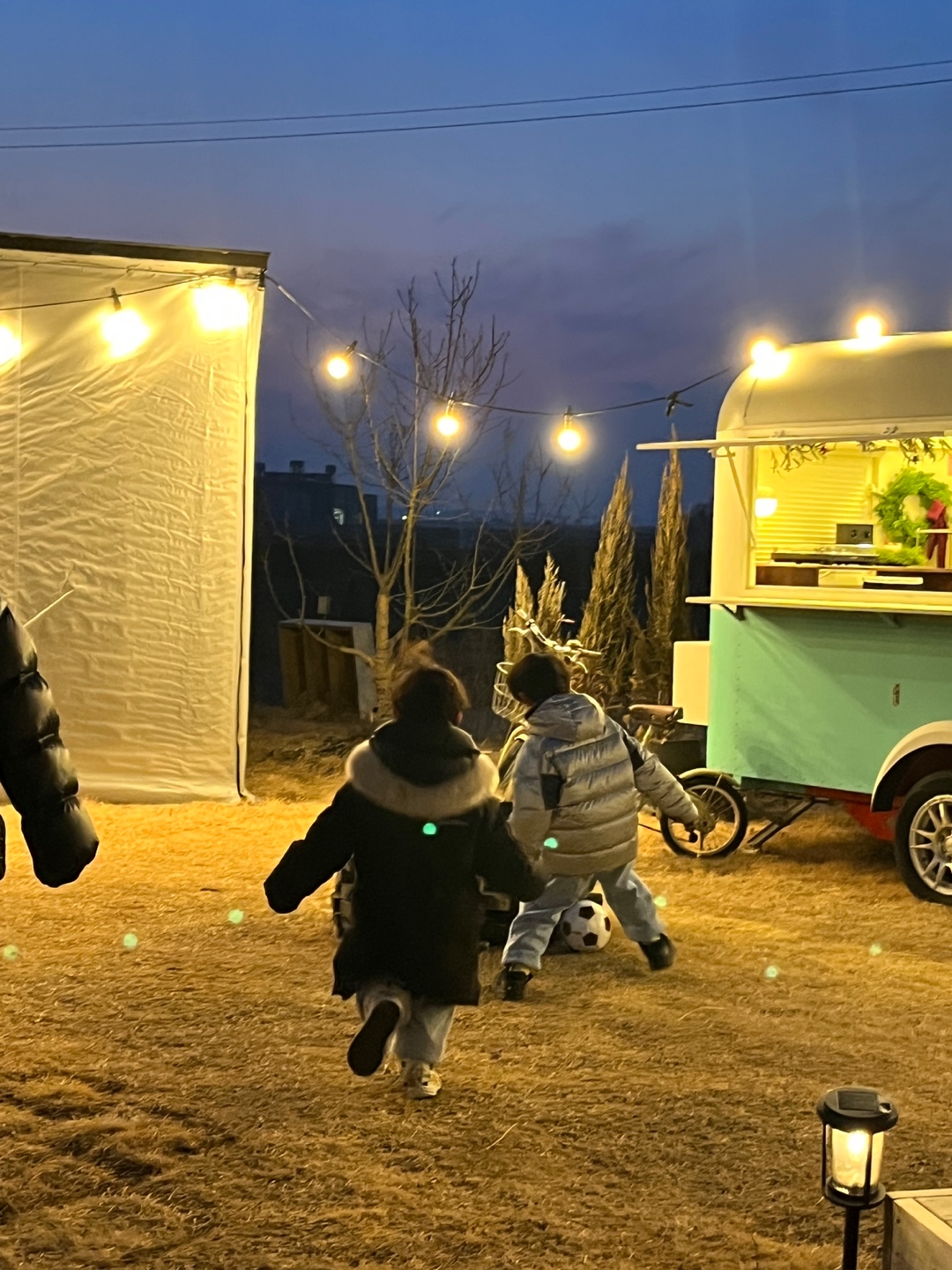 드레네 집