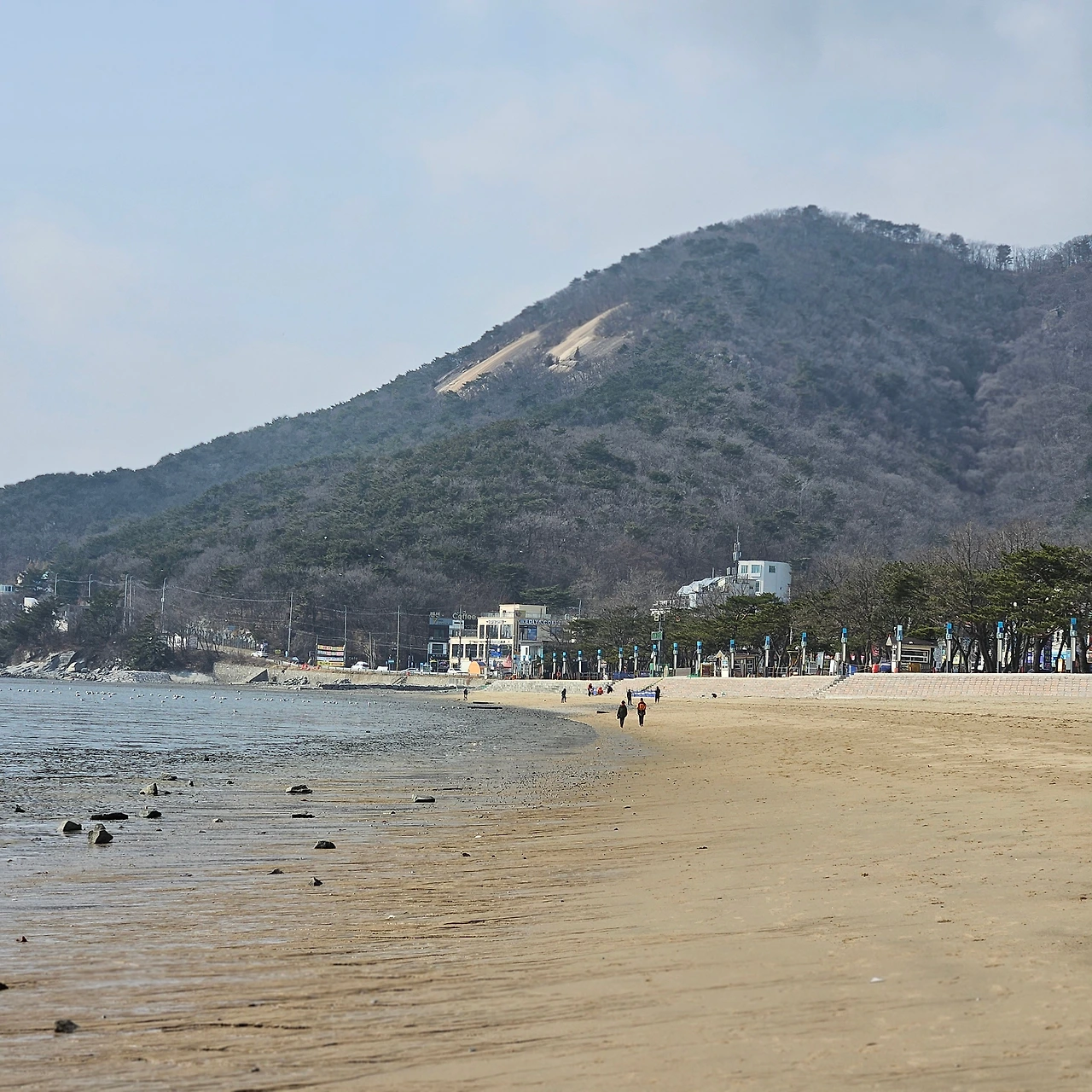 개신나멍