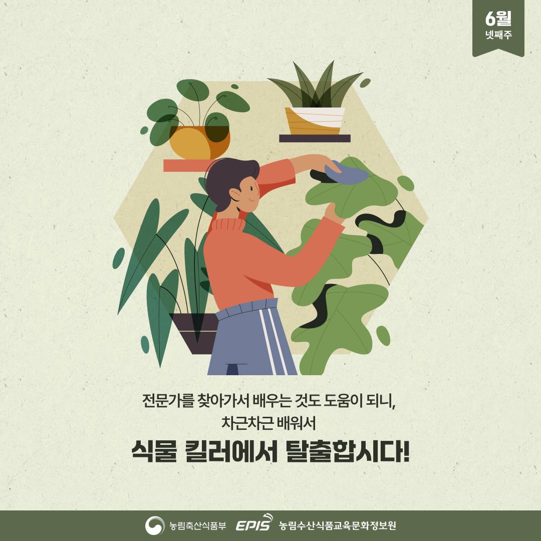 미미네민박