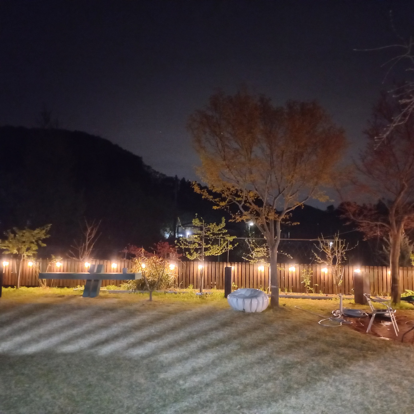 보틀나인