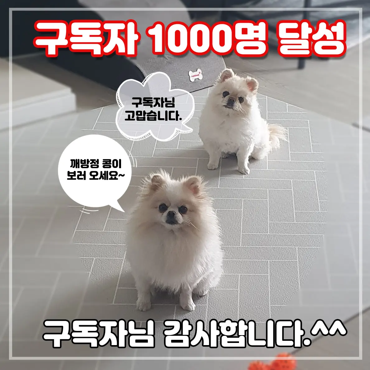 몽이네