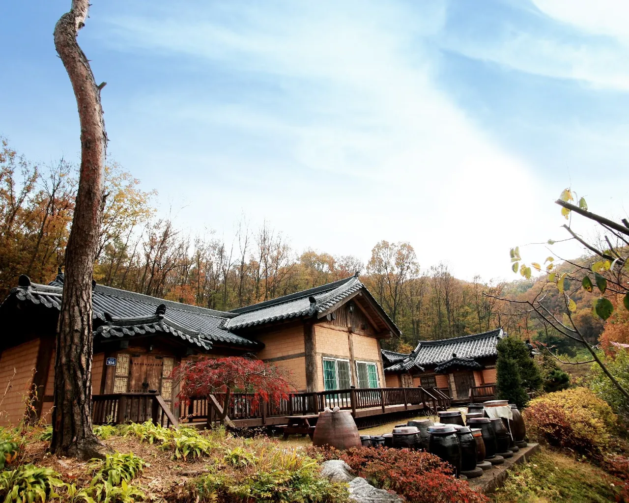 산삼꽃피는마을