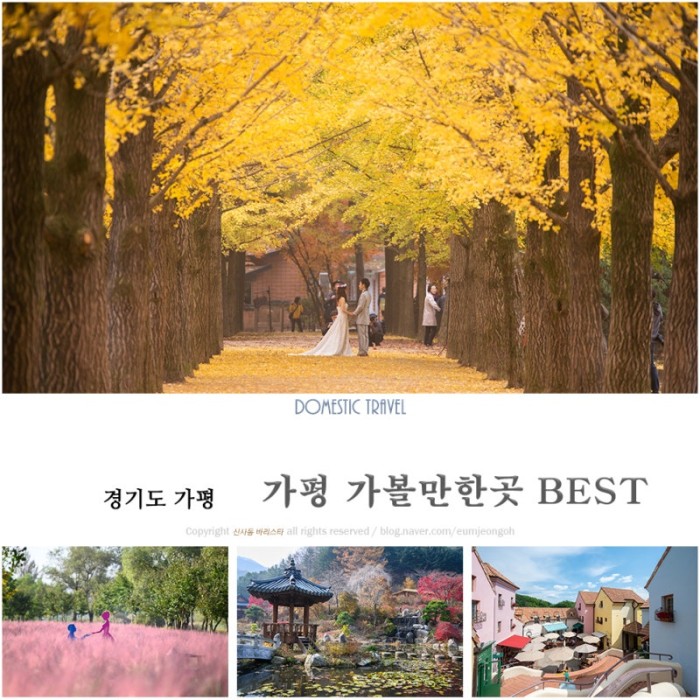 나무나무