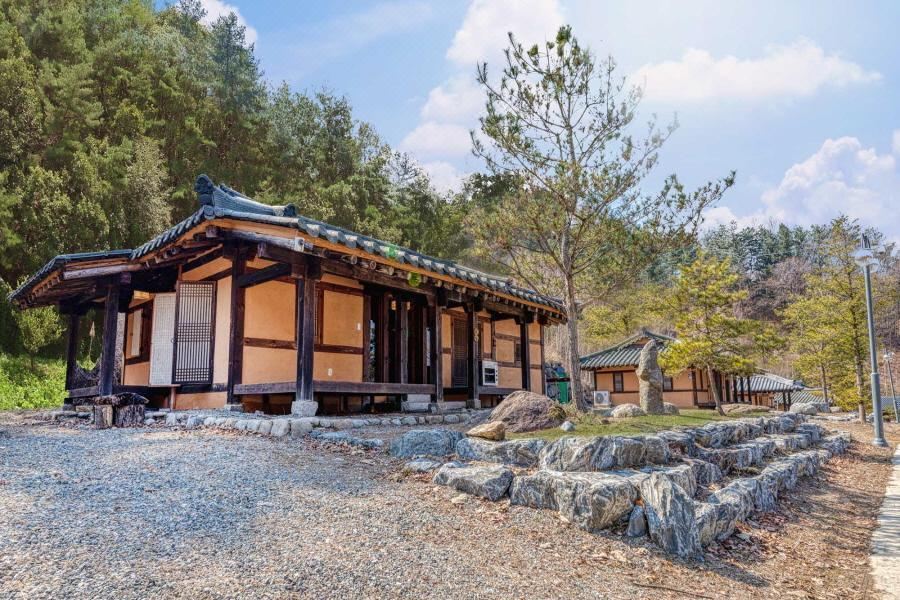 펜션 숲