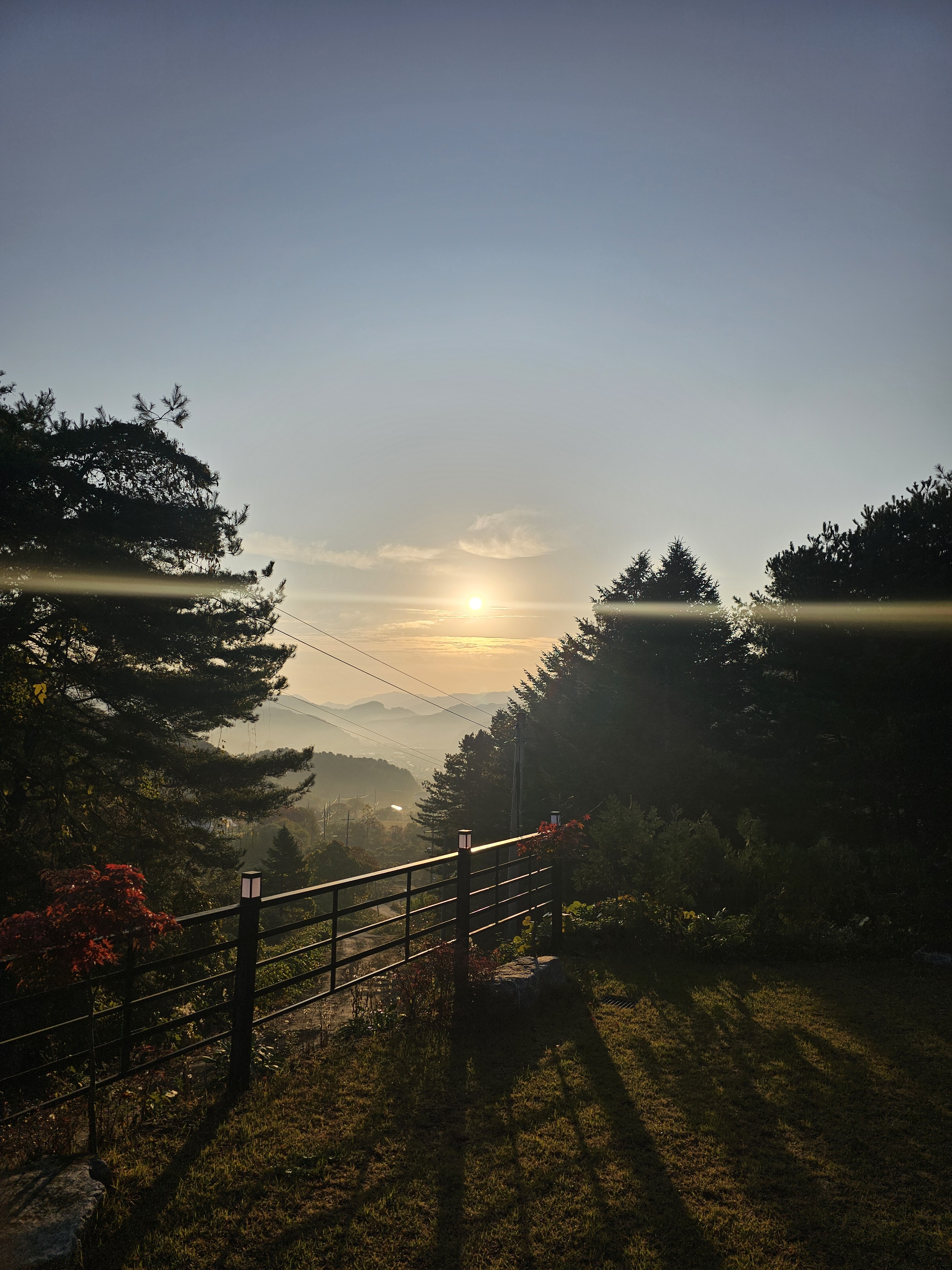 숲 속 여물리