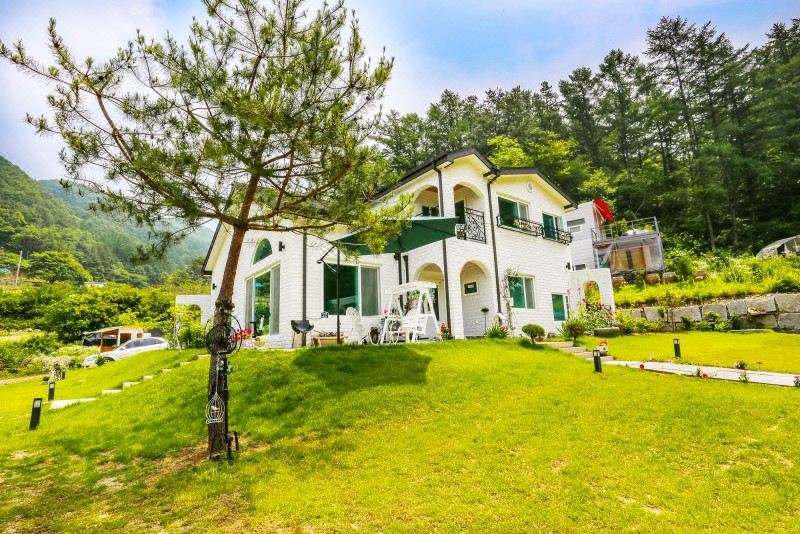 타샤의 아침