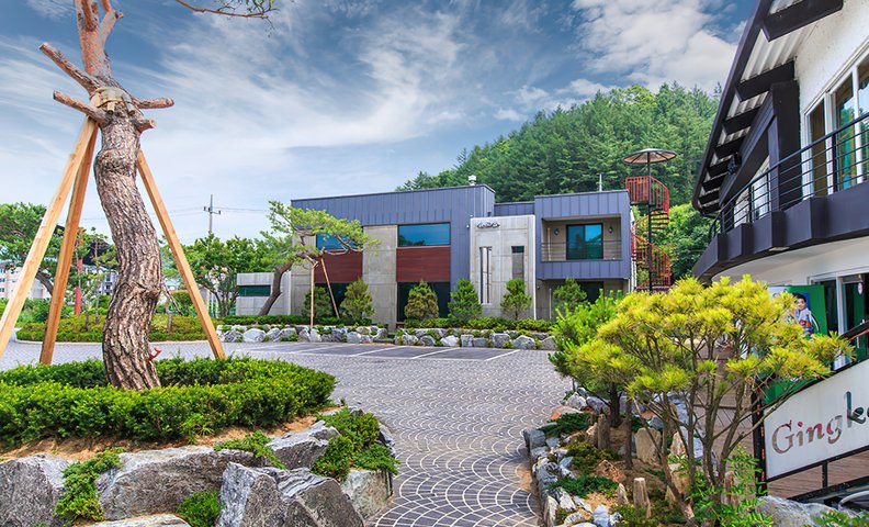 첼로