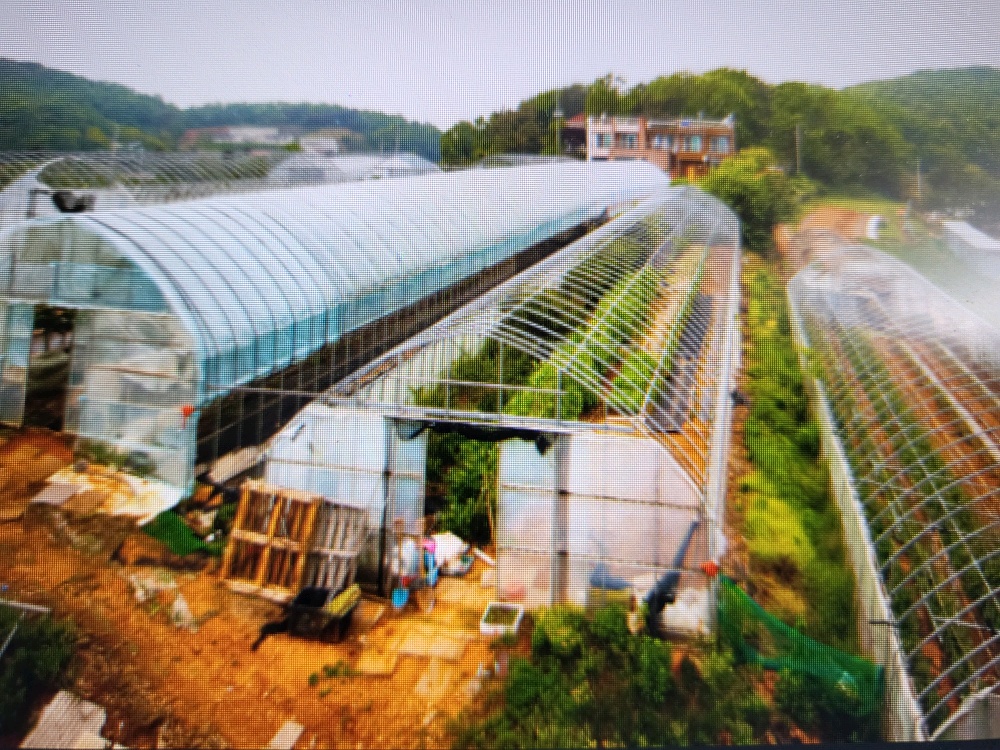 신성민박