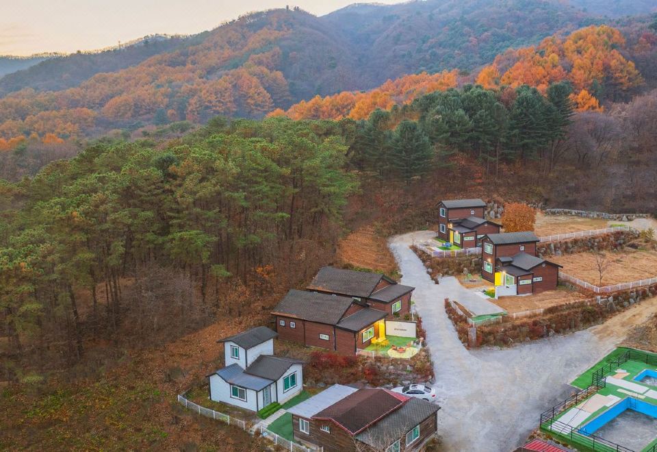 스테이 쉼온