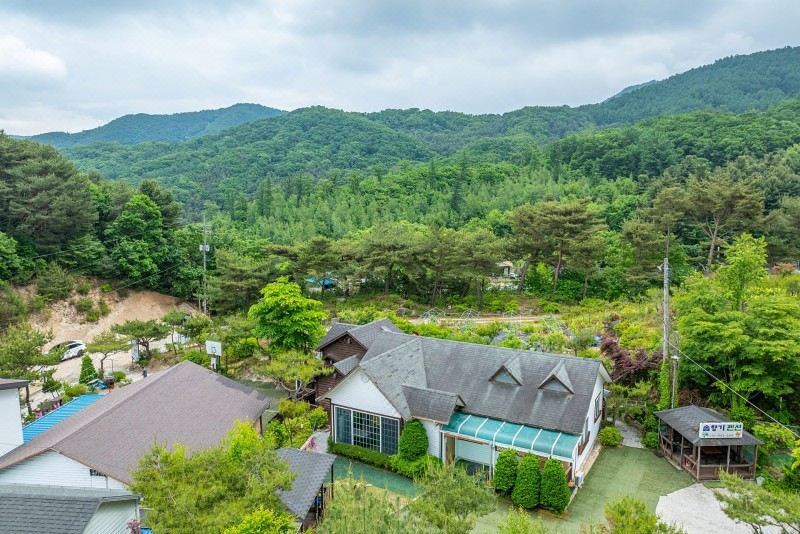 솔향기