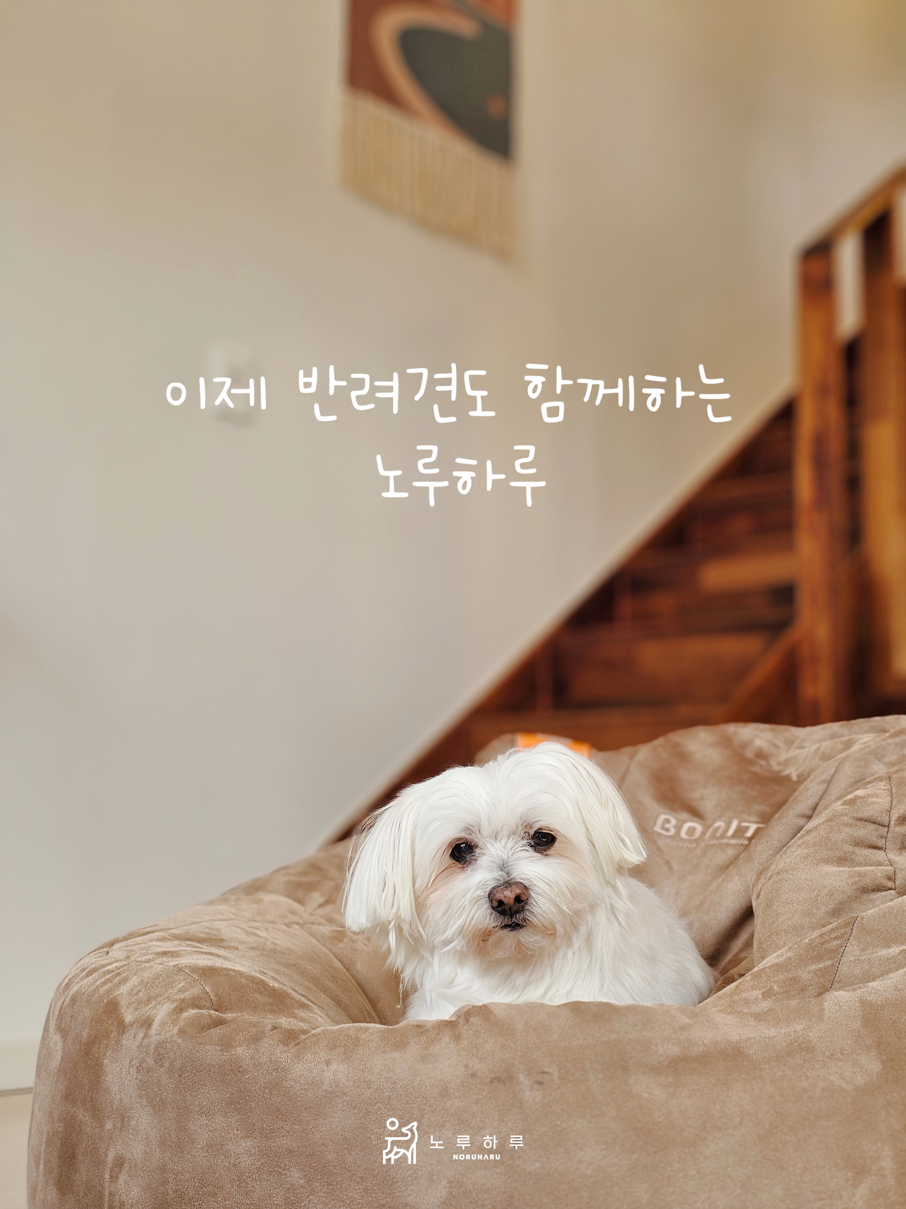 노루목민박