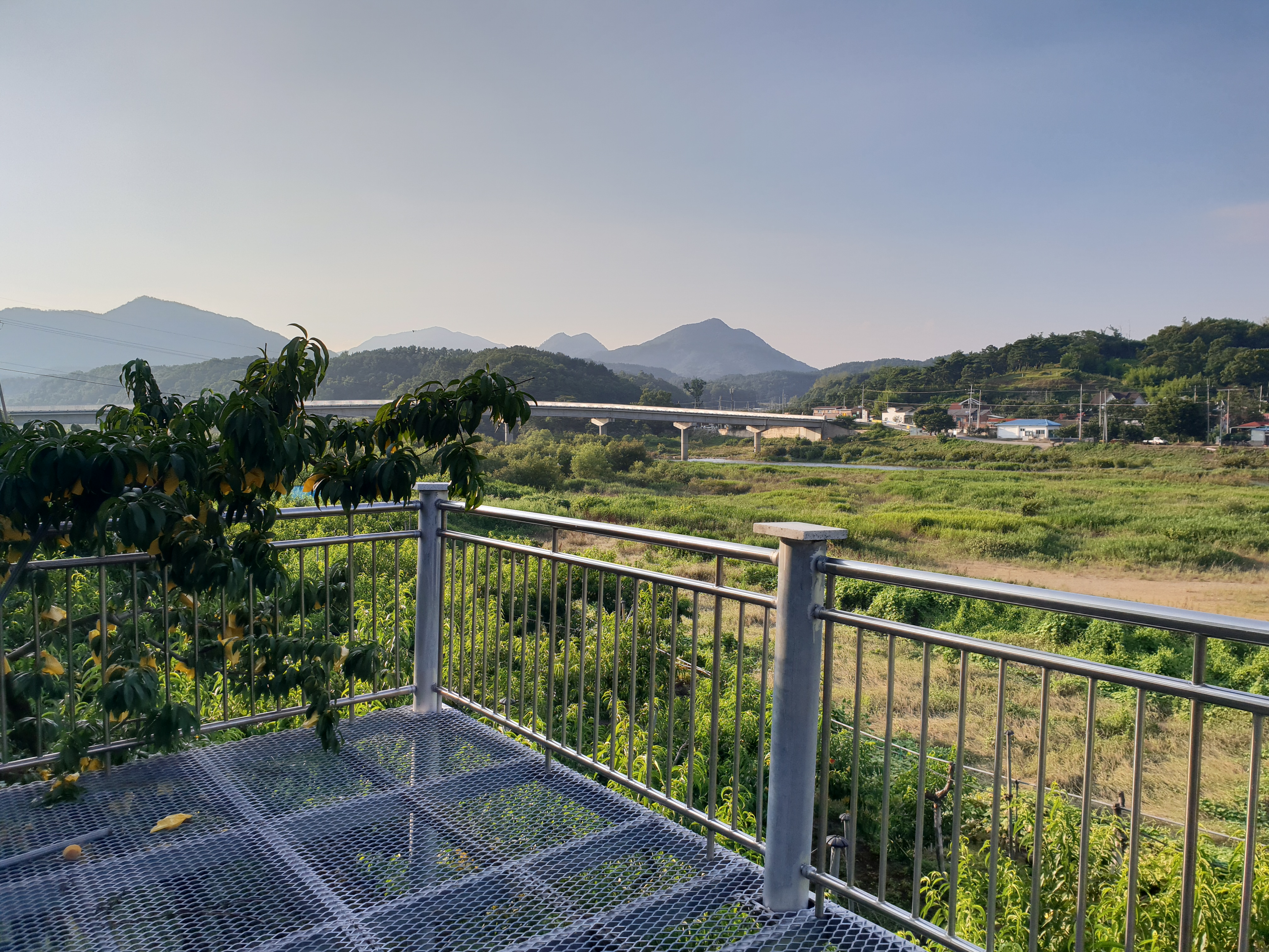송호민박
