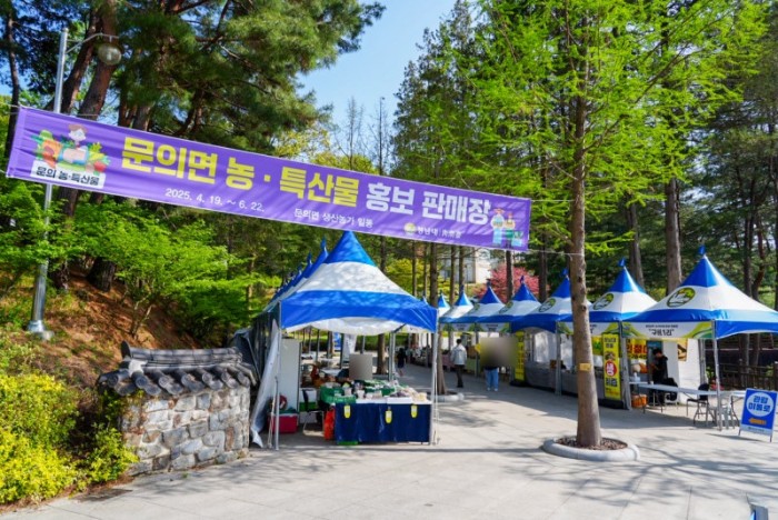 청주민박