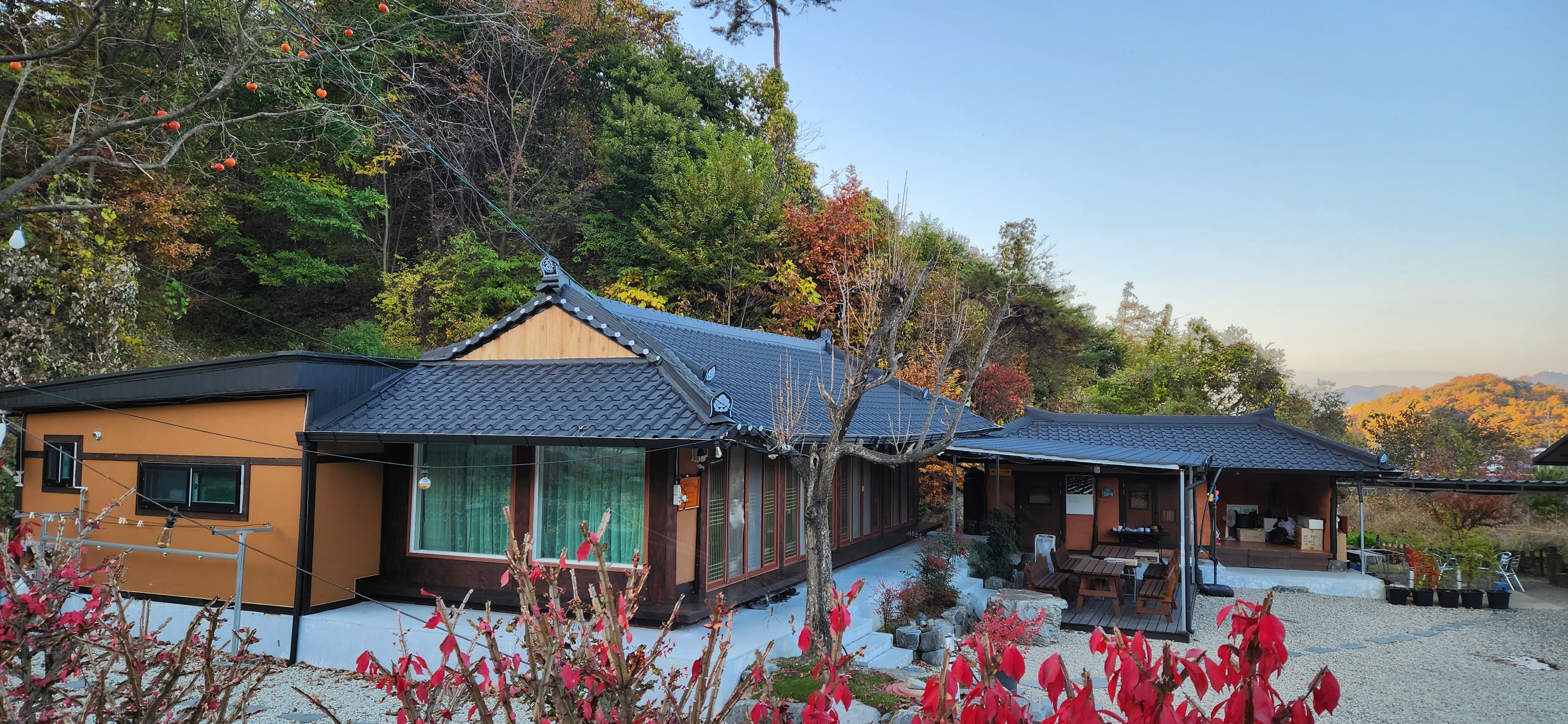 스테이백학동