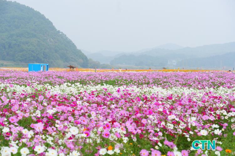 구드래한옥민박