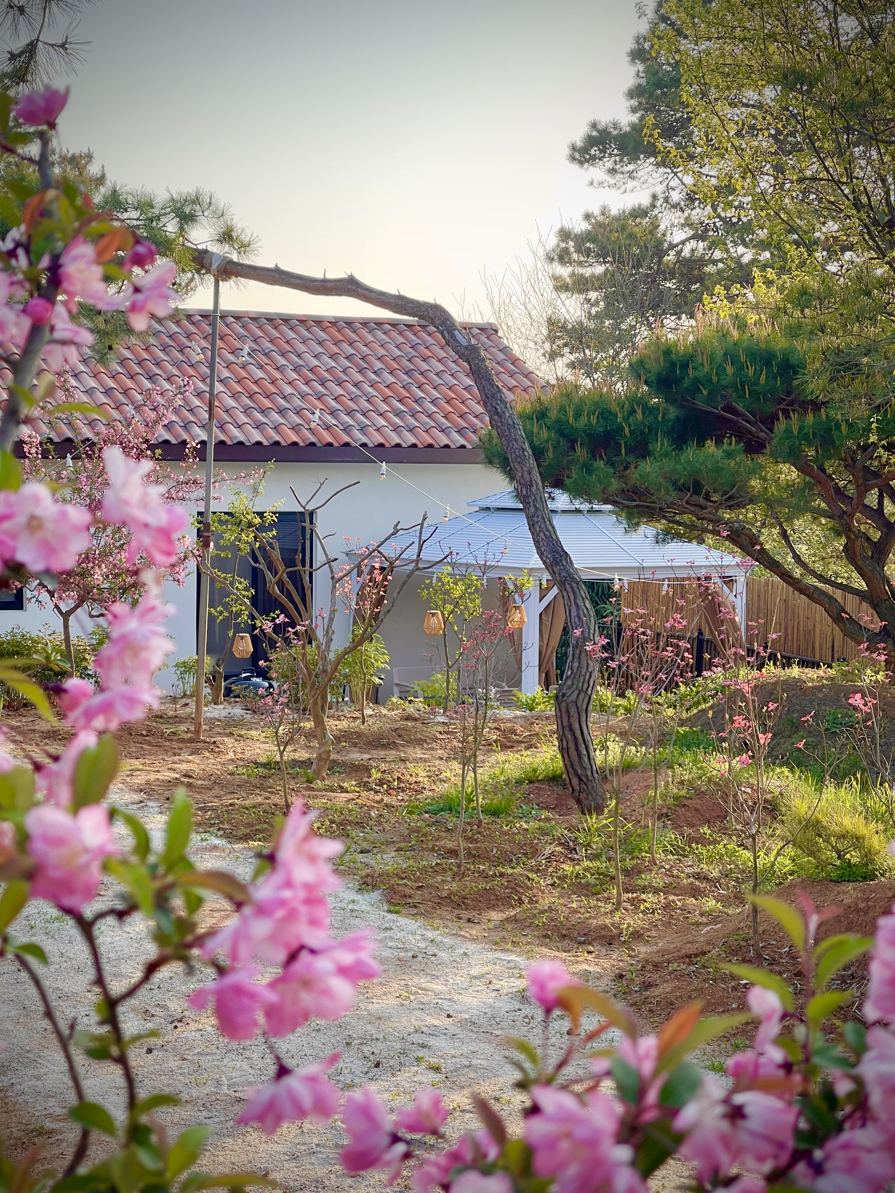 별나무숲 펜션