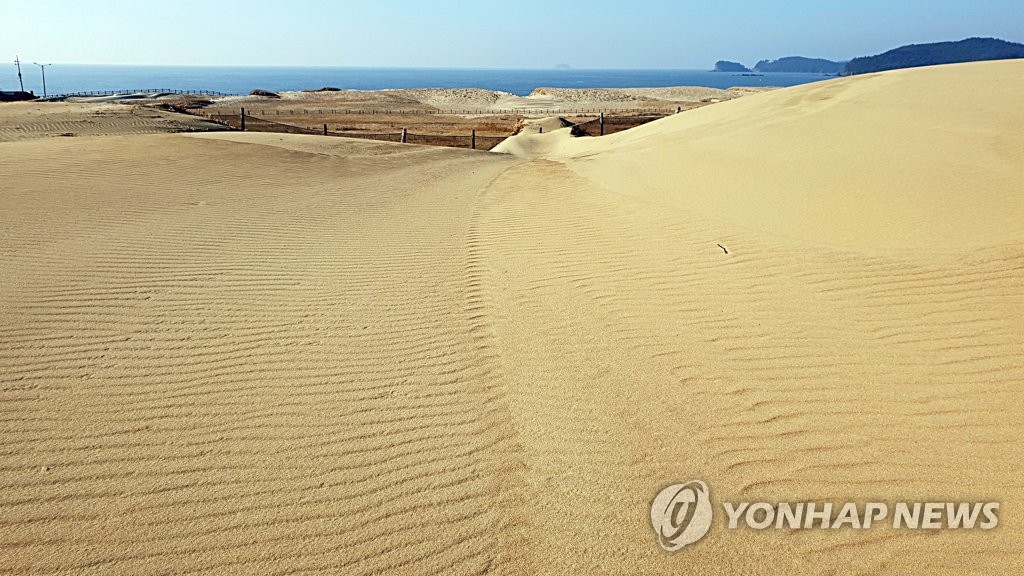 해안사구