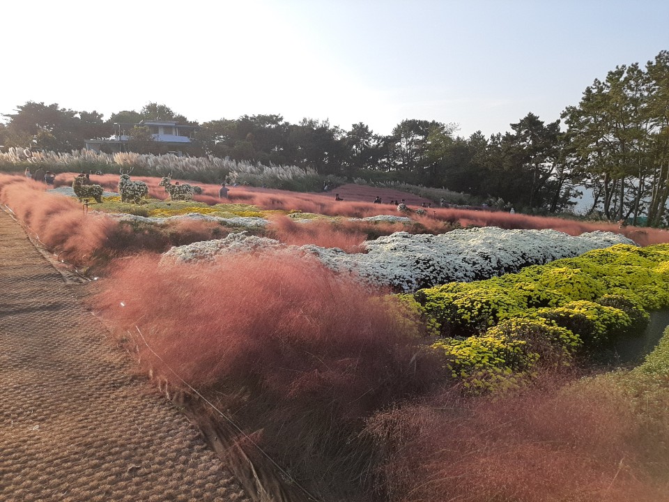 동백원