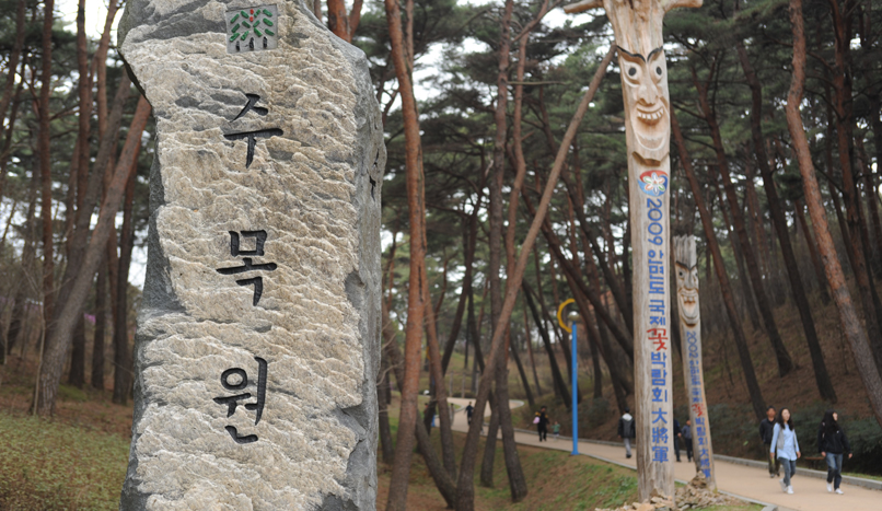 솔향기둥지