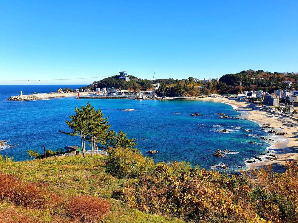 동해민박