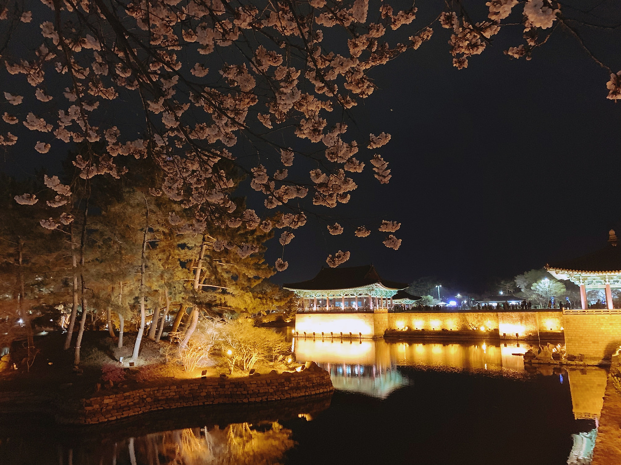 포레스트 경주(Forest 경주)