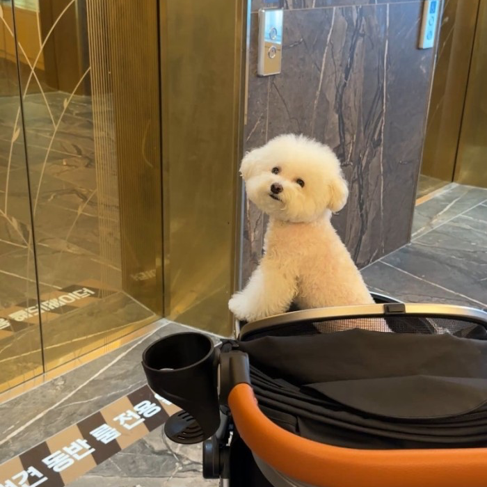 오늘도 너와