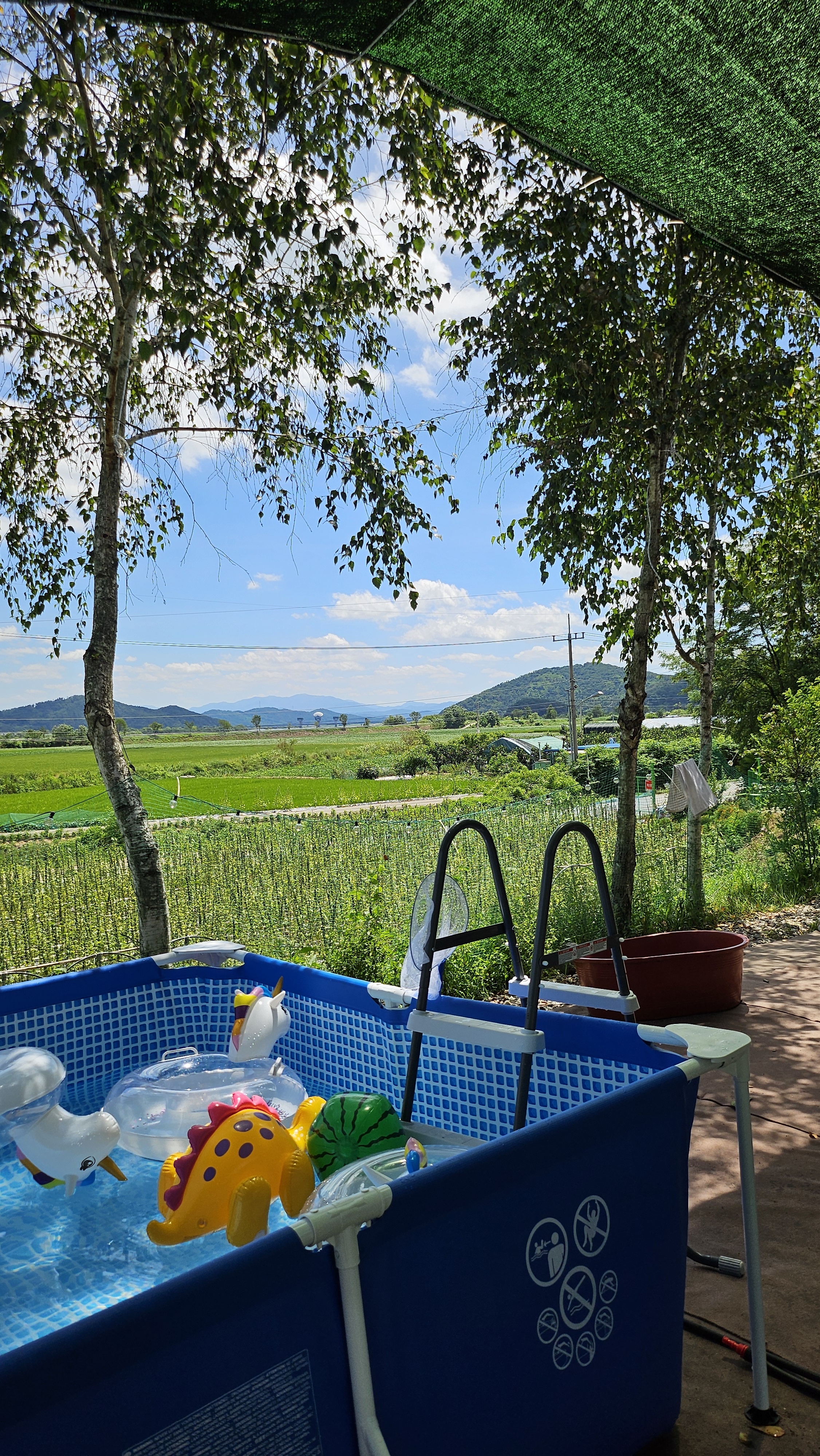 초록숲 하우스