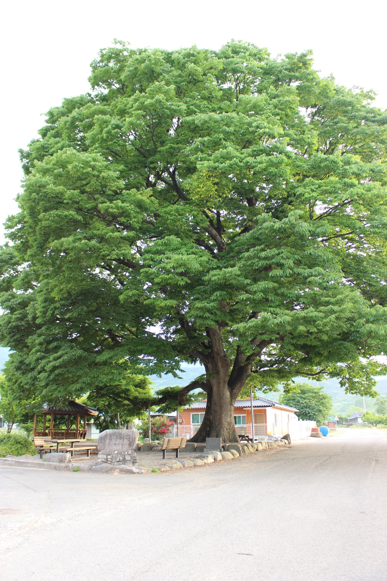치산123민박