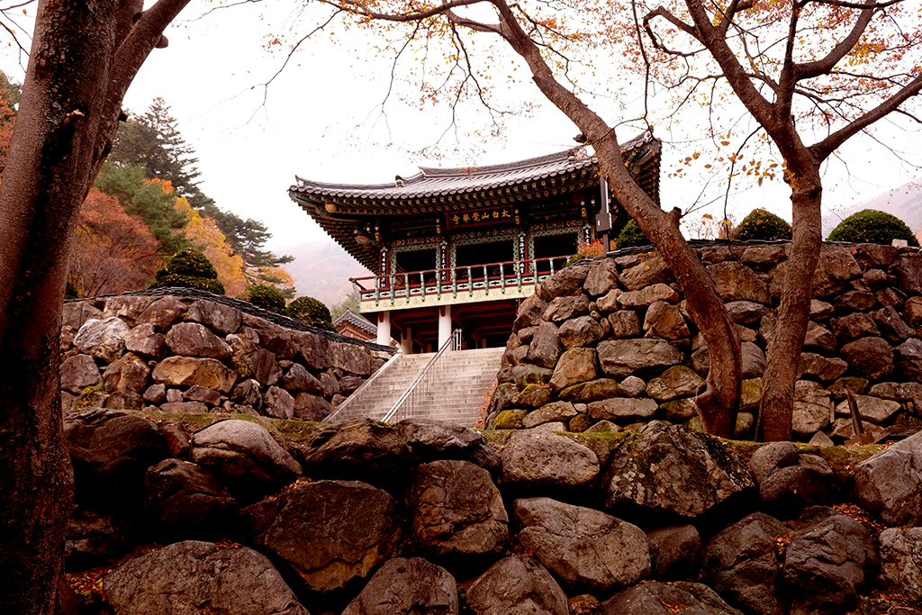 각화산민박