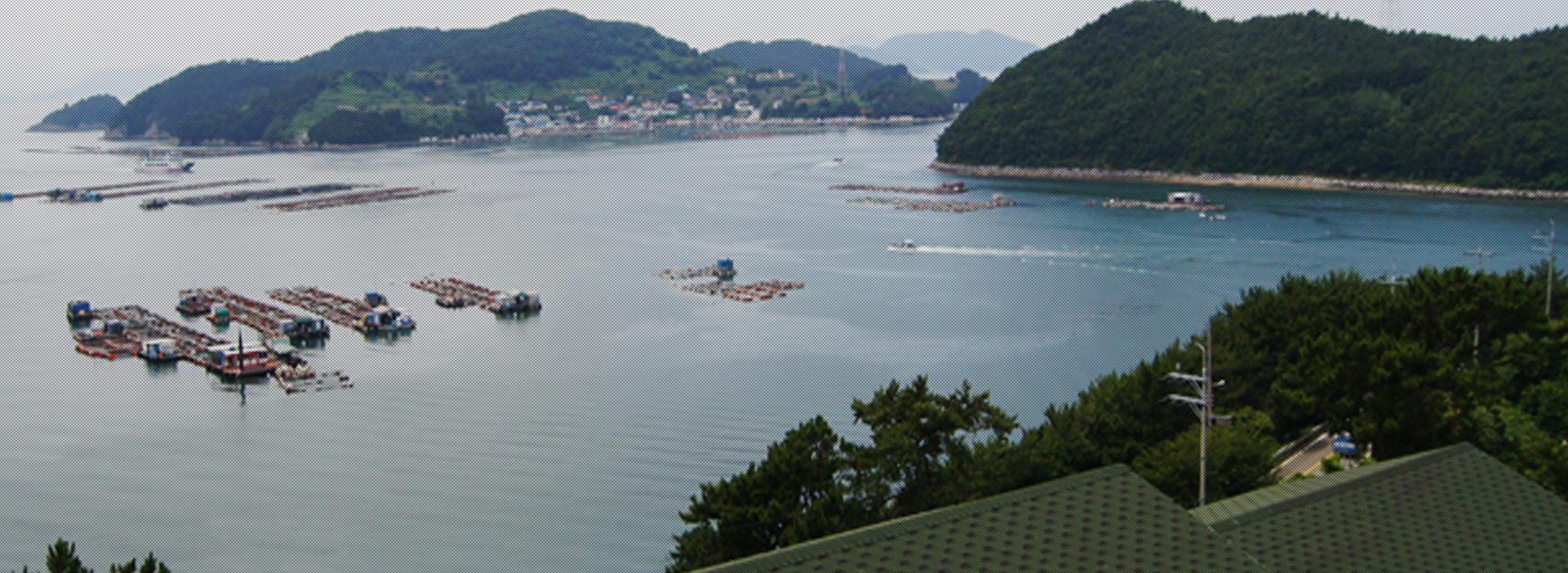 전망좋은민박