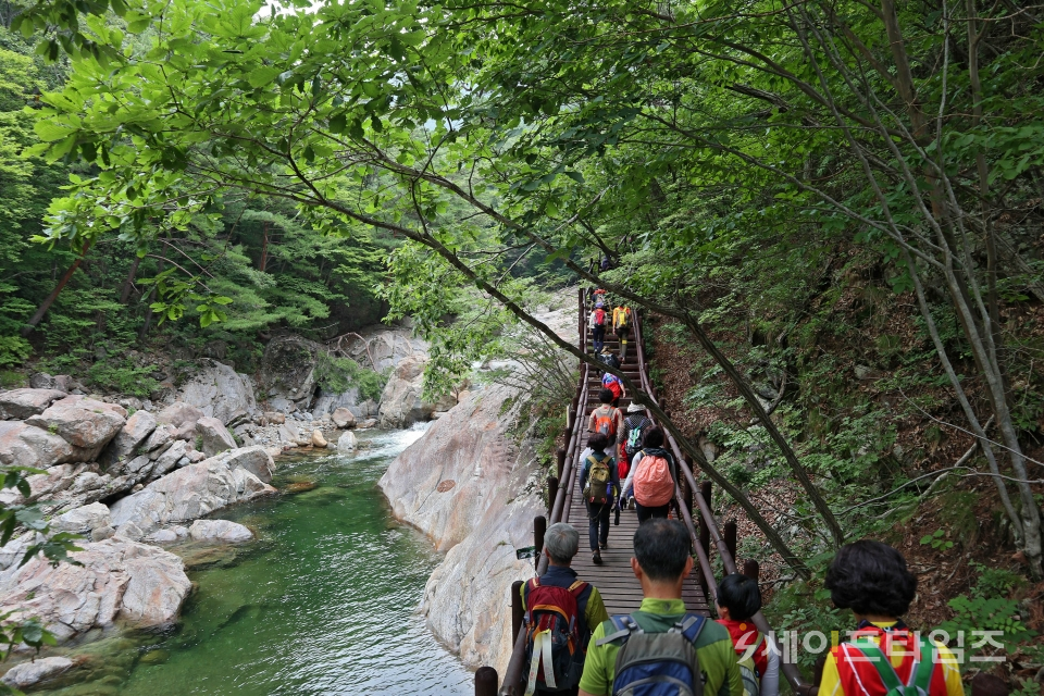 남대민박