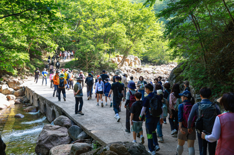지리산산하루