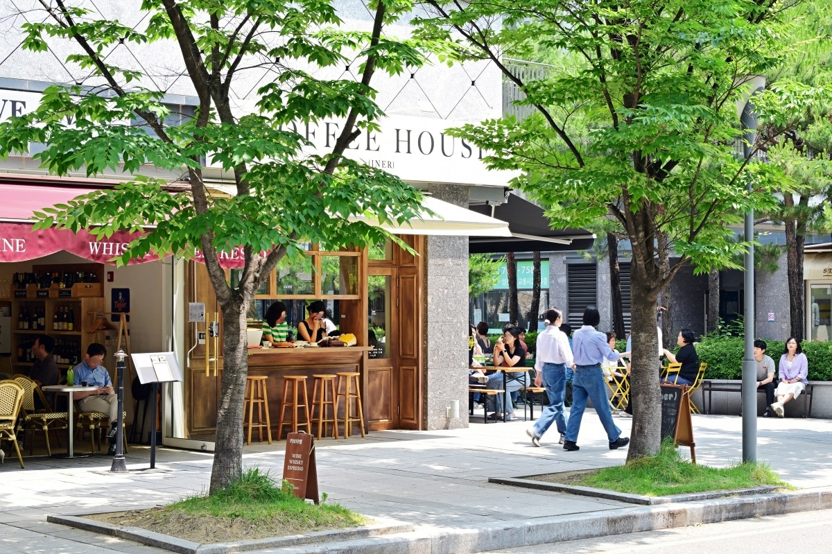 브라우니 포레스트 플러스