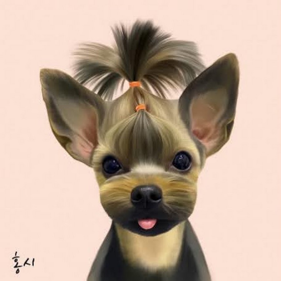 하우스 홍시