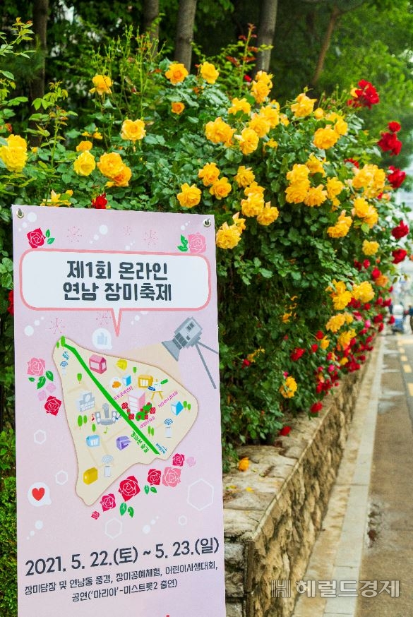 빙고 연남