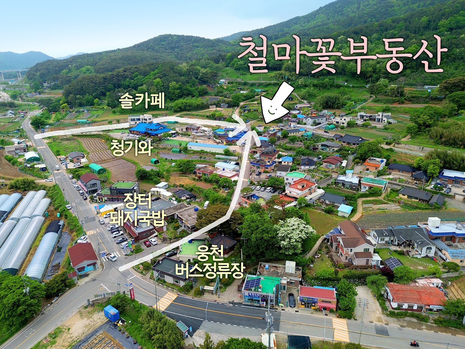 보리수